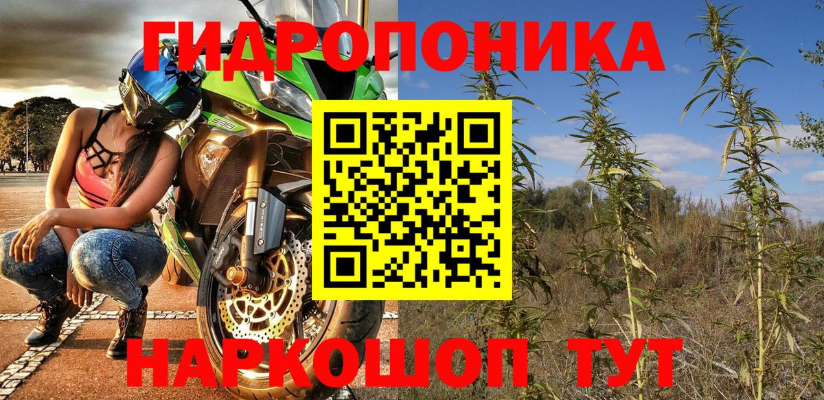 Каннабис гибрид Реутов